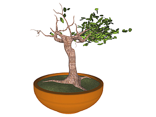 <em>榕树</em>盆栽sketchup模型，手绘绿植草图大师模型下载