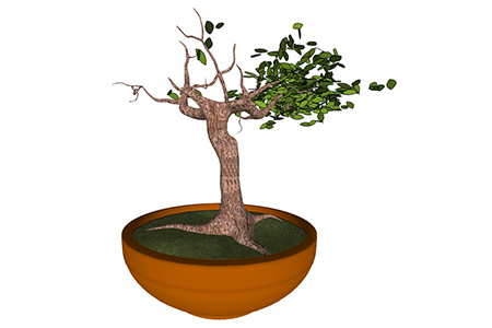 榕树盆栽sketchup模型，手绘绿植草图大师模型下载