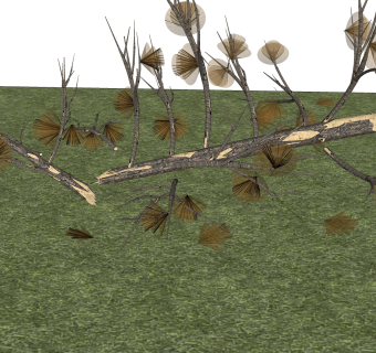 断树干盆景，草图大师模型