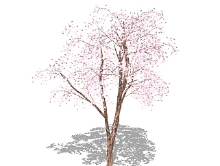 植物<em>树</em>SU<em>模型</em>，植物<em>树</em>SKB文件下载