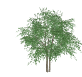 现代景观柳树免费su模型下载、景观柳树草图大师模型下载