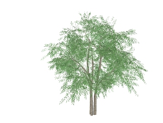 现代景观柳树免费su模型下载、景观柳树草图大师模型下载
