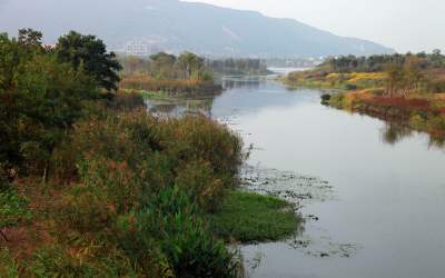 长广溪国家湿地公园实景图设计方案