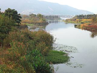 长广溪国家湿地公园实景图设计方案