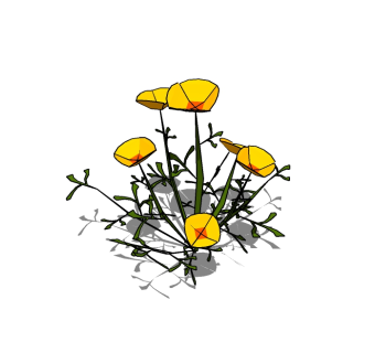 毛茛植物skb模型分享，植物花草图大师模型免费下载