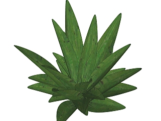 <em>芦荟</em>绿植sketchup模型，现代观叶植物skp文件下载