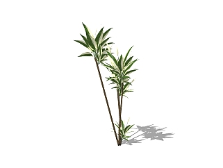 <em>富贵</em>竹灌木从skp文件下载，灌木地被sketchup模型下载