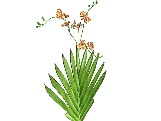 射干sketchup模型，现代<em>花卉</em>植物skp文件下载