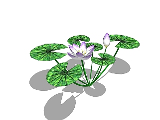 现代植物睡莲su模型下载，睡莲草图大师模型分享