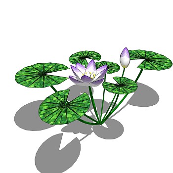 现代植物睡莲su模型下载，睡莲草图大师模型分享