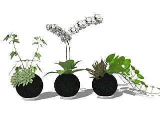 植物盆栽草图大师模型，盆栽sketchup模型下载