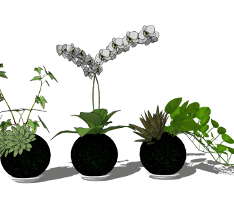 植物盆栽草图大师模型，盆栽sketchup模型下载