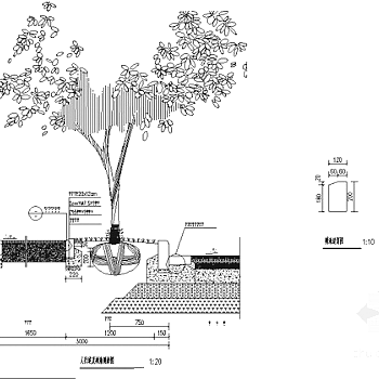 景观道沿线植物设计施工图