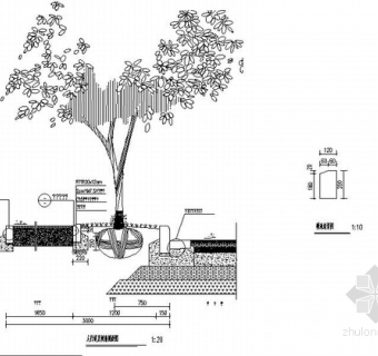 景观道沿线植物设计施工图