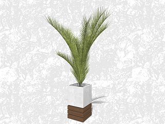 苏铁盆栽草图大师模型下载，家居植物盆景sketchup模型
