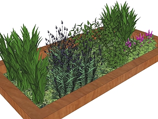 薰衣草sketchup模型，花池景观植物skp文件下载