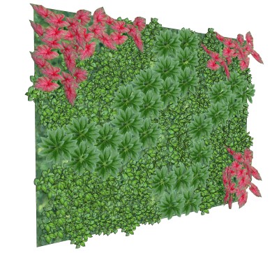 垂直绿化植物墙su模型下载，绿植背景墙草图大师模型