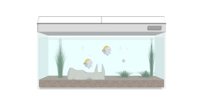 现代鱼缸草图大师模型，鱼缸sketchup模型下载