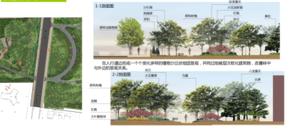 <a href=https://www.yitu.cn/sketchup/zhiwu/index.html target=_blank class=infotextkey><a href=https://www.yitu.cn/su/7836.html target=_blank class=infotextkey>植物</a></a>分析图