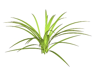 吊兰绿植sketchup模型，现代观叶植物skp文件下载