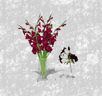 唐菖蒲花瓶插花su模型，花艺草图大师模型下载