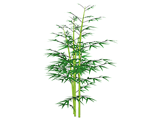 箬竹植物su模型，<em>景观绿植</em>草图大师模型下载