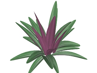 紫背万年<em>青</em>绿植sketchup模型，现代观叶植物skp文件...