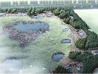 城市新区生态湿地公园景观设计方案