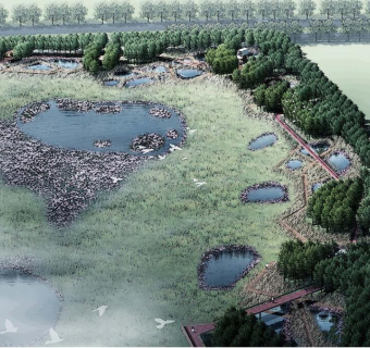 城市新区生态湿地公园景观设计方案