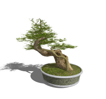 中式迎客松草图大师模型，迎客松SKB文件下载
