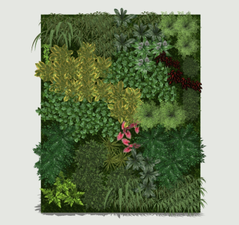 精美植物墙sketchup模型集下载