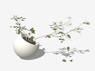 现代植物<em>盆栽</em>草图大师模型，络石sketchup模型