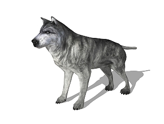 现代狼免费su模型，动物草图大师模型下载