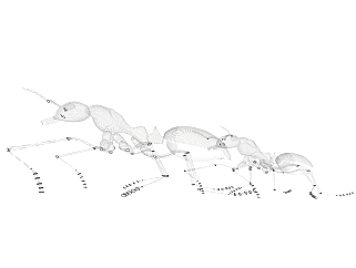现代景观小品蚂蚁草图大师模型，景观小品sketchup模型skp文件分享