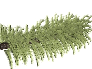 铁树<em>绿植</em>sketchup模型，现代观叶植物skp文件下载