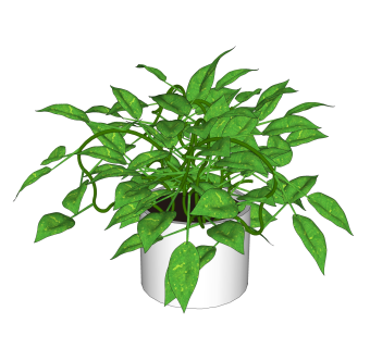 绿萝盆景植物su模型，绿萝花艺草图大师模型下载