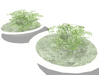 水培石质花盆植物su模型，<em>铁线</em>蕨花艺草图大师模型下载