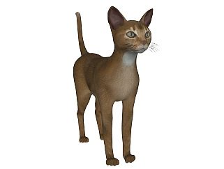 现代阿比西尼亚猫草图大师模型，<em>动物</em>sketchup模型下载