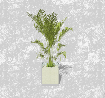 精品室内植物su模型集下载