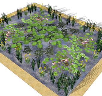 精品水生植物sketchup模型集下载
