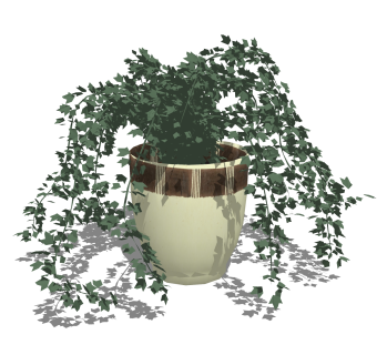 常春藤盆栽植物su模型，园艺花草sketchup模型下载