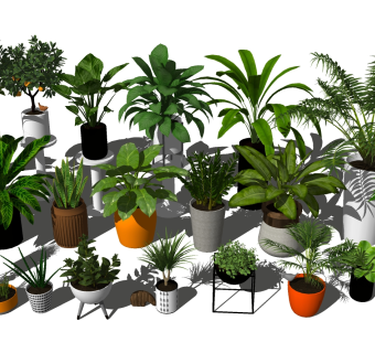 精品观赏植物sketchup模型集下载