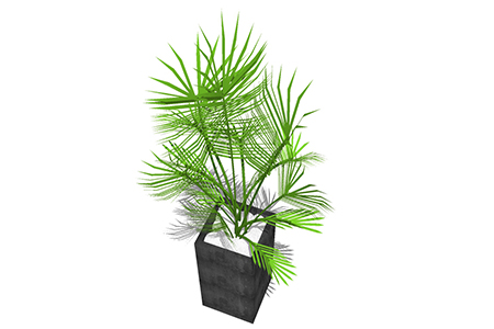 袖珍椰盆栽草图大师模型，手绘绿植sketchup模型下载
