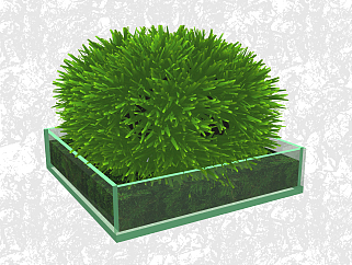 白发藓盆栽su模型，绿植盆景草图大师模型下载