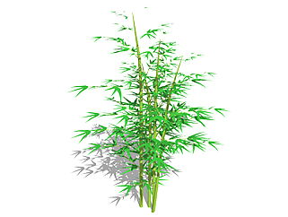 茶杆竹<em>植物</em>su模型，<em>景观</em>绿植草图大师模型下载