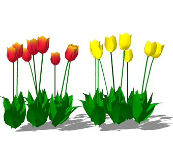 郁金香花卉植物skb模型分享，花卉su模型免费下载