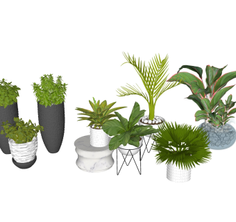 现代风格盆栽sketchup模型下载