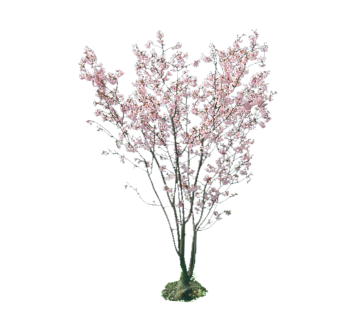 桃花树，SU模型免费下载