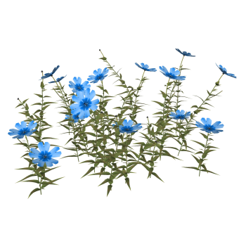 精品观花植物sketchup模型集下载