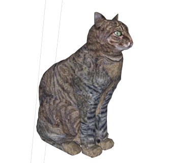 现代美国短毛猫草图大师模型，动物sketchup模型下载